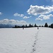 auf der Weite des Hochberges ...