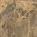 In full resolution you can spot some climbers on Half Dome NW, in the "Zig Zag's" just before the [http://ngm.nationalgeographic.com/2011/05/yosemite-climbing/chin-photography#/11-thank-god-ledge-714.jpg Thanks God Ledge] 