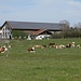 rustikale Umgebung