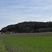 Badhöring mit dem Hechenberg