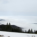 Das Münstertal und die Rheinebene auf der Westseite unter einer dicken Nebeldecke