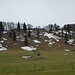 Langer Berge: Schatteberg. 