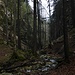 Im Horngraben. 
