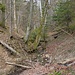 Im Horngraben. 