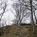 Aussichtspunkt Höllchöpfli. 