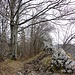 Auf dem Weg zum Rosschopf. 