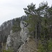 Auf dem Rosschopf. 