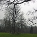 Oberhalb Wolfisberg.