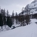 entlang der flachen Schi- und Schneeschuhtrasse cirka vier km neben dem Fluß "Dora di Rhemes"