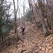 Parte iniziale del "nuovo" sentiero che dall'Eden sale dritto verso Boarezzo tra boschi radi in un ambiente spesso suggestivo e nascosto agli occhi.