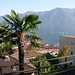 Vor drei Stunden noch im Nieselregen der Zentralschweiz und nun unter Palmen in Lugano!