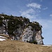 Einer der zahlreichen Legföhrenköpfe auf der Alp Sigel