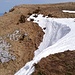 Zahme Gocht