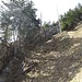 The grassy gully with the Aurikelgrat on the left.