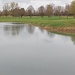 Ein einsames Bläßhuhn auf dem Olchinger Golfplatz 