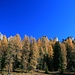 goldener Herbst in den Dolomiten