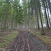 Gleich am Beginn geht es steil den Berg hoch