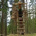 Jagdsitz - wo? Natürlich neben der Straße!