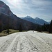 Wie ein Film zieht die grüne Landschaft vorbei ... 