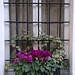 Allestimento floreale