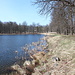 Am Vojenský rybník - Rückblick in Richtung der Ruinen von Březina. Links ist die schöne Kastanienallee zu erahnen, und auch den kleinen Staudamm des Teichs säumen diese Bäume.