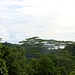 Blätterdach im Dschungel des Nationalparks Morne Seychellois.