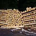 Heimisches Holz...Baustoff vom Feinsten