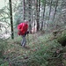 "ein Männlein steht im Walde" ...
auf altem Weglein unterhalb der Krähenbühlalp ...