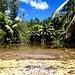 Durch el Niño überschwemmtes Dschungelgebiet in der Nähe der Küste.