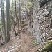 am Fuß der steilen Felswände setzt der Abstieg im Wald an