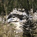 Typisch Jura - schroffe Felsen - dunkle Wälder