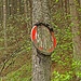 Der Baum "frisst" das Verbotsschild