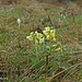 Der Frühling zeigt sich von seiner schönsten Seite