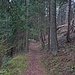 Unterwegs zum Ausgangspunkt der Tour