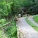 Bivio per Nesso (a sx) ATTENZIONE sentiero franato in alcuni punti e grossi alberi divelti che impediscono il passaggio. SCONSIGLIATO<br />Salre sino ai Monti di Careno e scendere a Nesso !