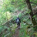 alberi divelti da superare......
