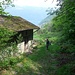 verso Nesso