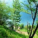 un Agriturismo.....