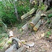 discesa verso Carvagnana frazione di Lezzeno