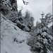 winterlich geht's weiter...