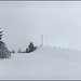 Wildspitz - heute mit ca. 20 bis 30cm Neuschnee