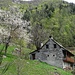 Typisches Tessiner Haus in den Bergen
