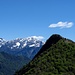 Monte Disner