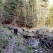 Ci inolttriamo in Val Iragna