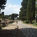 il Decumano,<br />viale di accesso del sito di Ostia antica