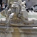fontana del Moro a piazza Navona