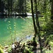 Weberegg-Weiher: es lächelt der See, er ladet zum Bade - eindeutig noch zu kalt