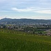 Kurz vor Weiningen ( 413m )