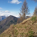 VISTA SUL LEGNONCINO
