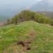 La breve rampa dall'Alpe Bassetta alla cima